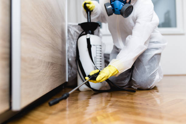 Best Exterminator Services  in Palm City, FL