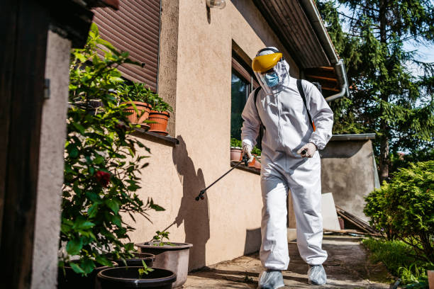 Best Insect Control  in Palm City, FL