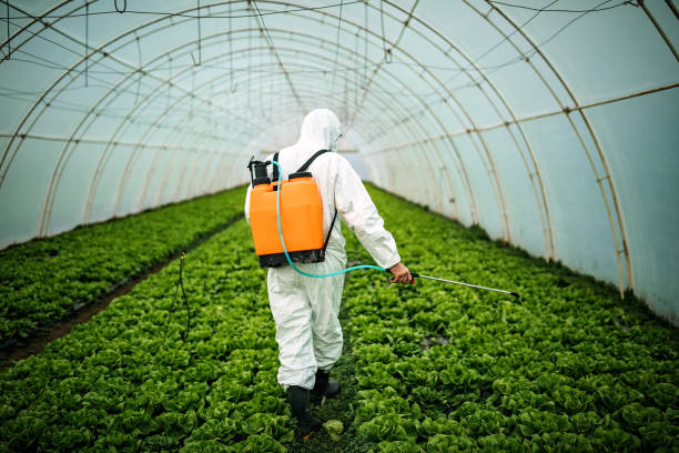 Best Residential Pest Control  in Palm City, FL