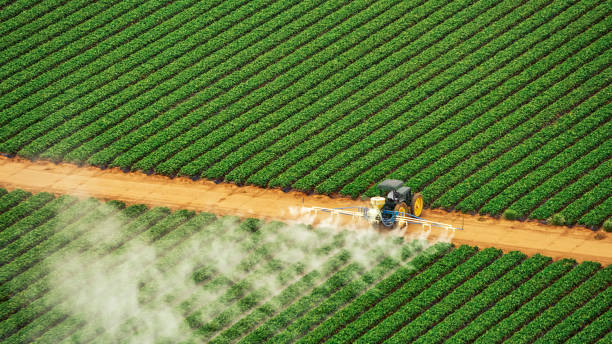Best Mosquito Control Services  in Palm City, FL
